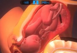 simulateur-3d-accouchement-grossesse